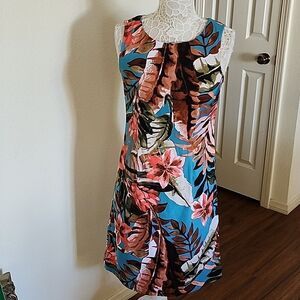 North Style Shift Dress Size 6
